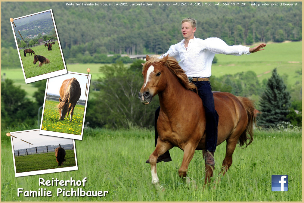 Willkommen bei Reiterhof Pichlbauer